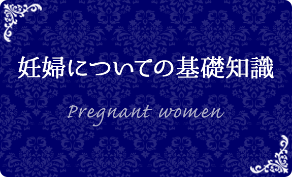 妊婦についての基礎知識