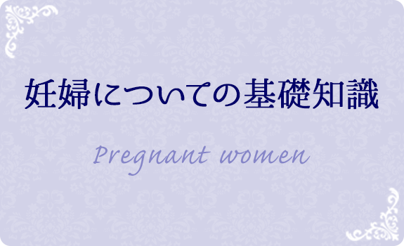 妊婦についての基礎知識