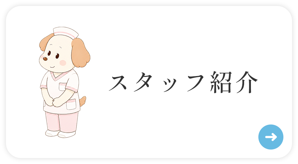 スタッフ紹介