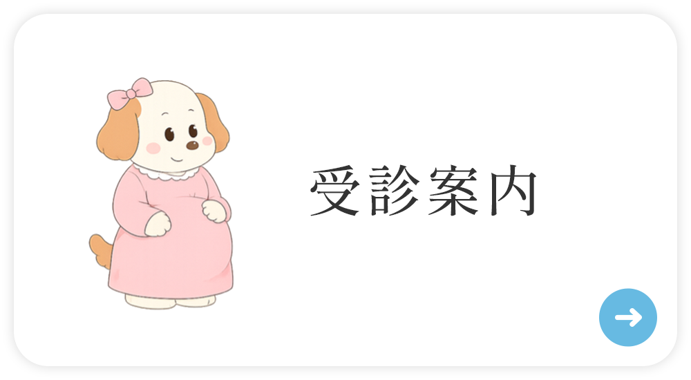 受診案内